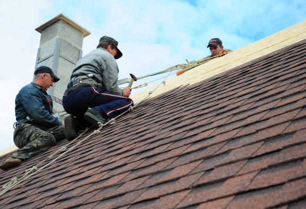 Best Metal Roofing Contractor  in West Hollywood, CA